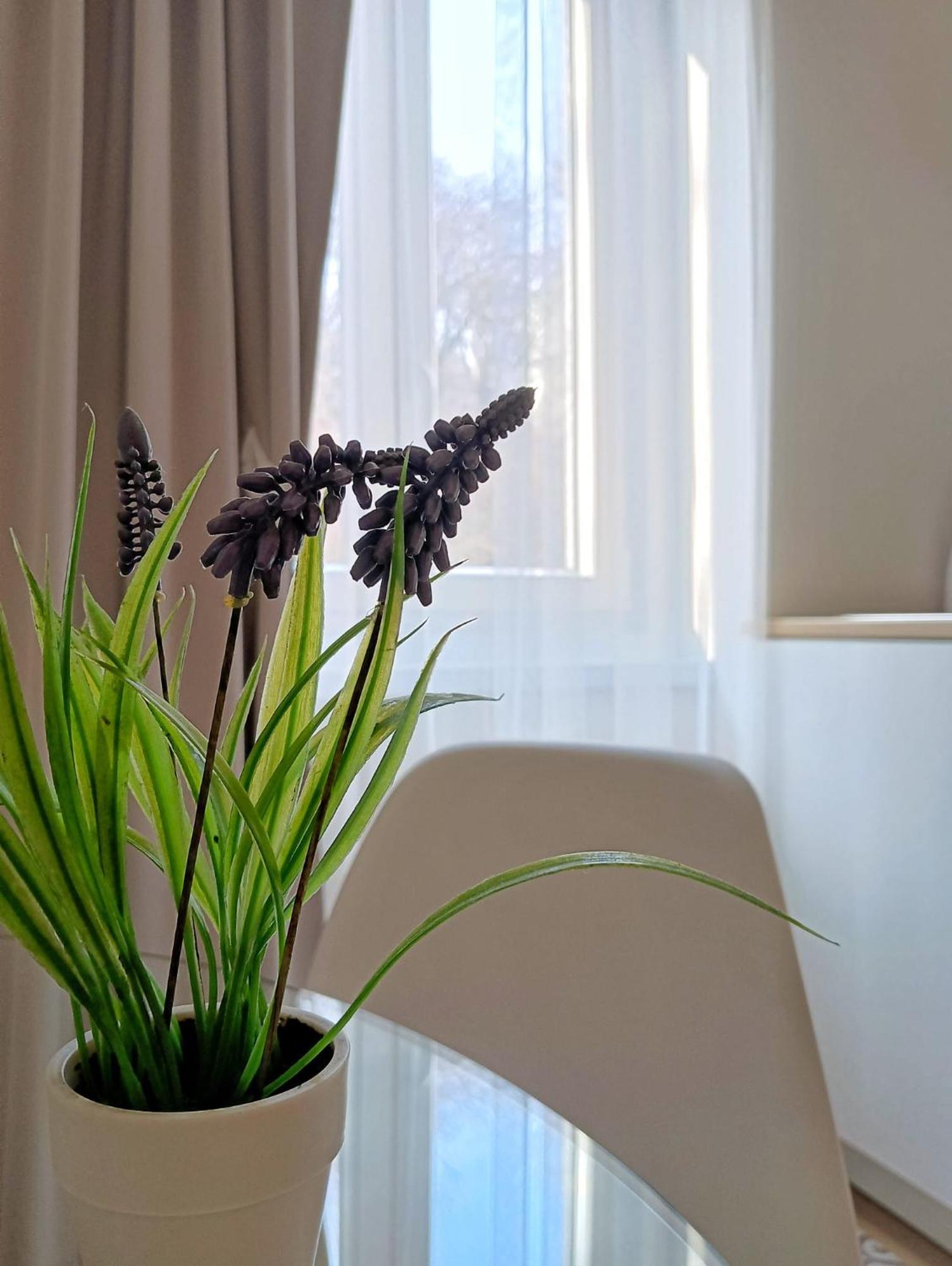 Tesa2 Casa Vacanze ترييستي المظهر الخارجي الصورة